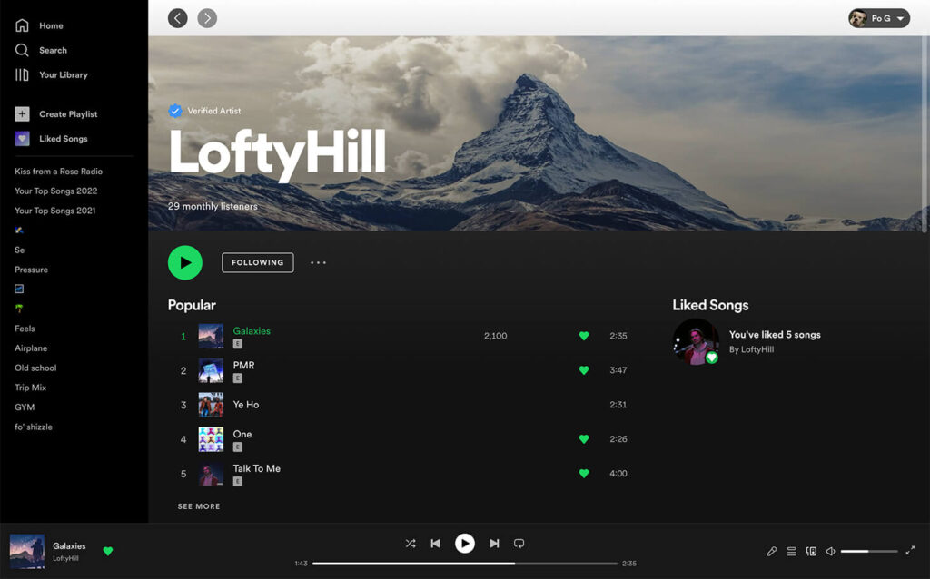 Spotify desktop app - artist page