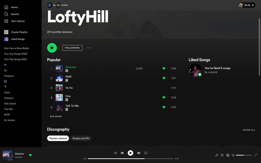 Spotify desktop app - artist song stream stats
