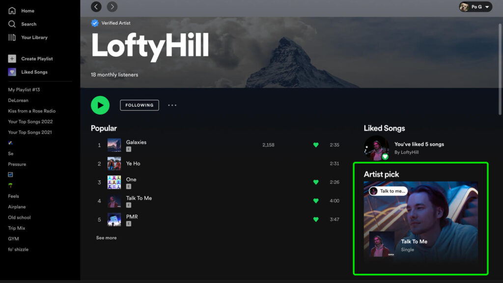 Artist Pick on LoftyHill Spotify Artist Page