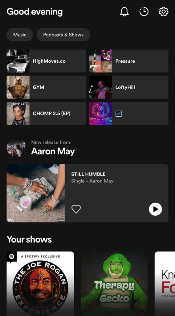 Home Screen of Spotify on Mobile Device