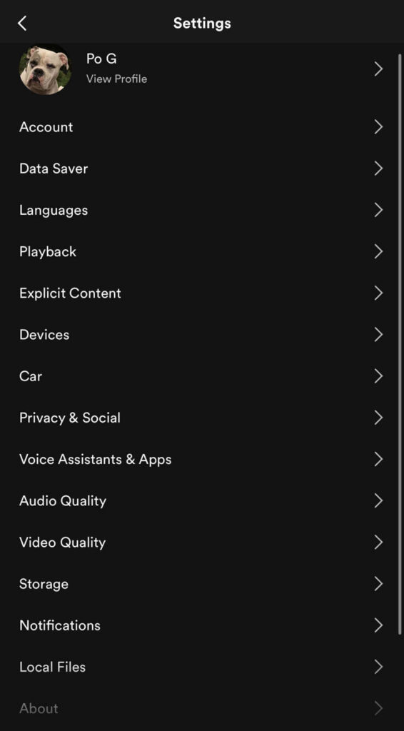 Local Files Setting in Spotify on Mobile