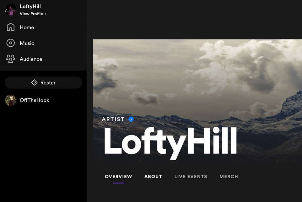 Spotify for Artists - Profile About Section